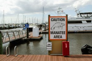 Veterans Memorial Park & Manatee Observation Area — Port St Lucie