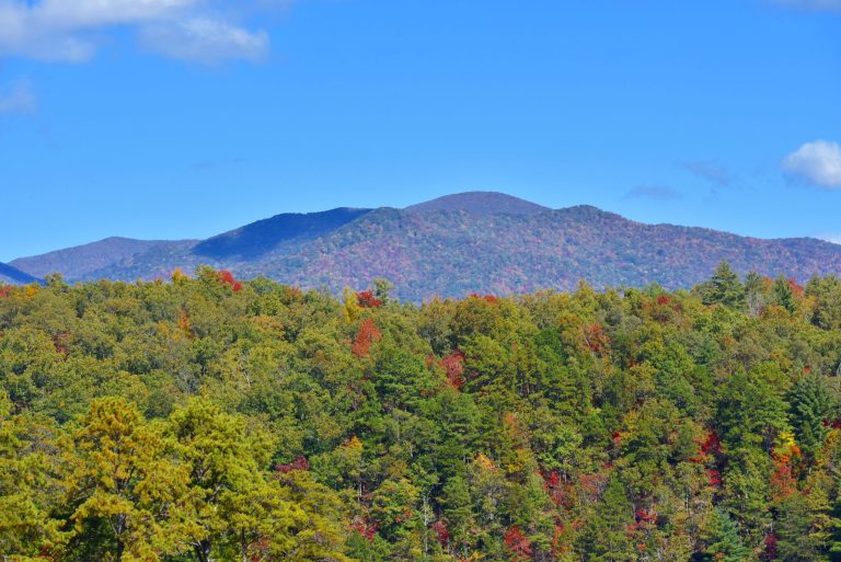 Sugarlands Valley Nature Trail (Great Smoky Mountains National Park) — Knoxville