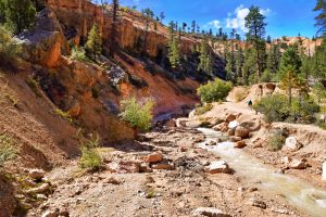 Mallette Canyon Trail — Red River