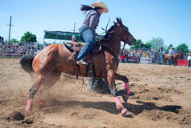 Midland County Horseshoe Arena — Midland