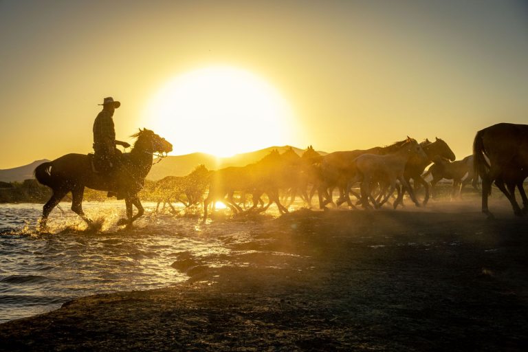 Cowboy Trail Rides at Horseman's Park — Henderson