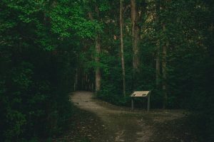 Gulley Park Trail — Fayetteville