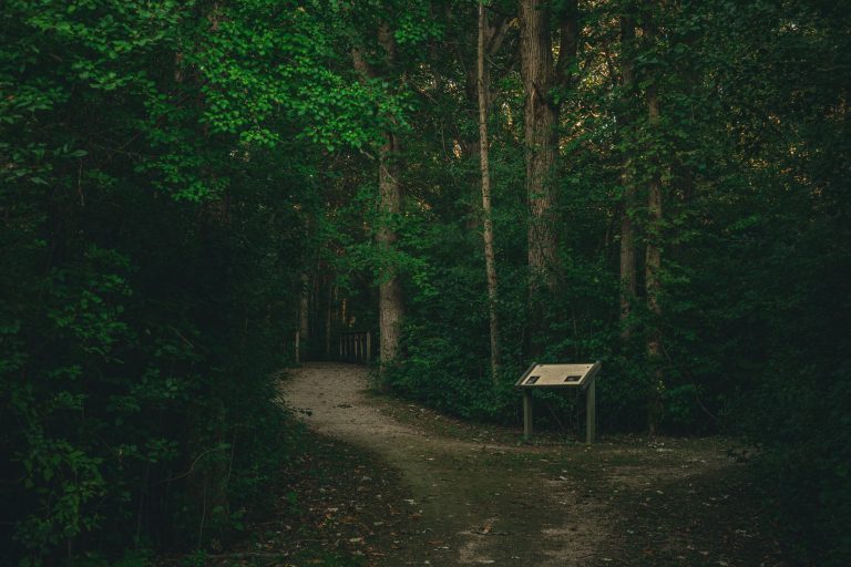 Gulley Park Trail — Fayetteville