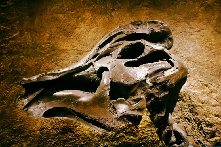 Museum of Ancient Life at Thanksgiving Point — West Jordon