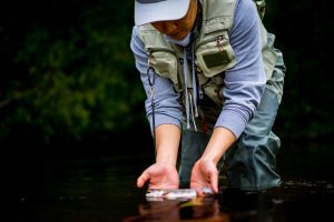 Palarm Creek Tailwater / Little Maumelle River Fly Fishing (Two Rivers Park Area) — Little Rock
