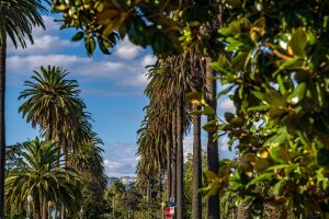Maravilla Park – East Los Angeles — East Los Angeles