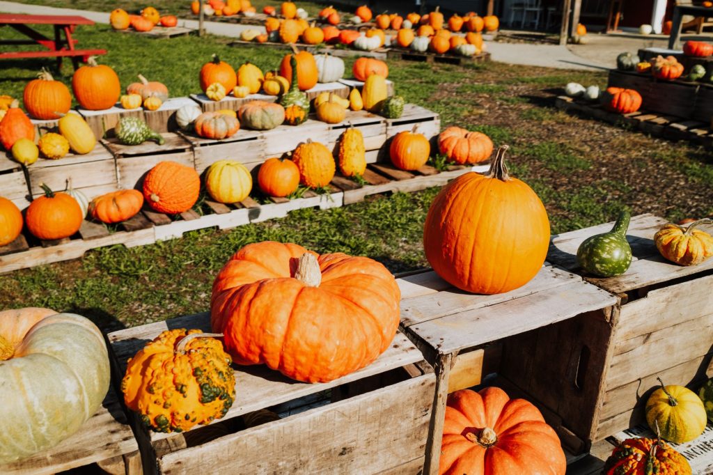 Cox Farms Market — Allen