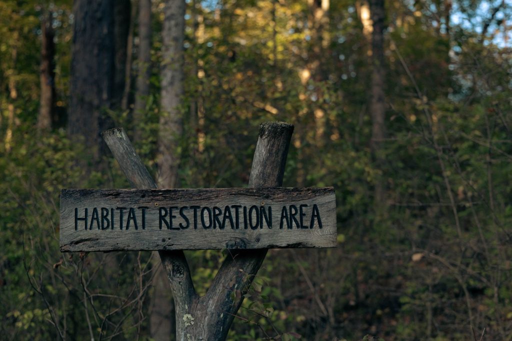 Belding Wildlife Management Area — Stamford