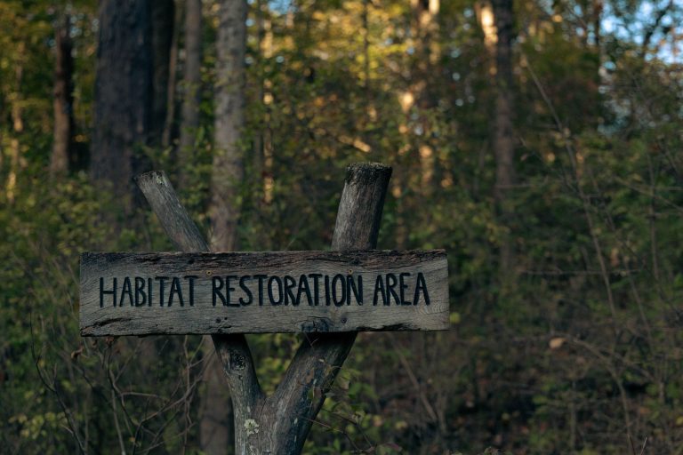 Belding Wildlife Management Area — Stamford