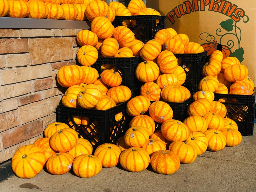 Rheault Farm — Fargo