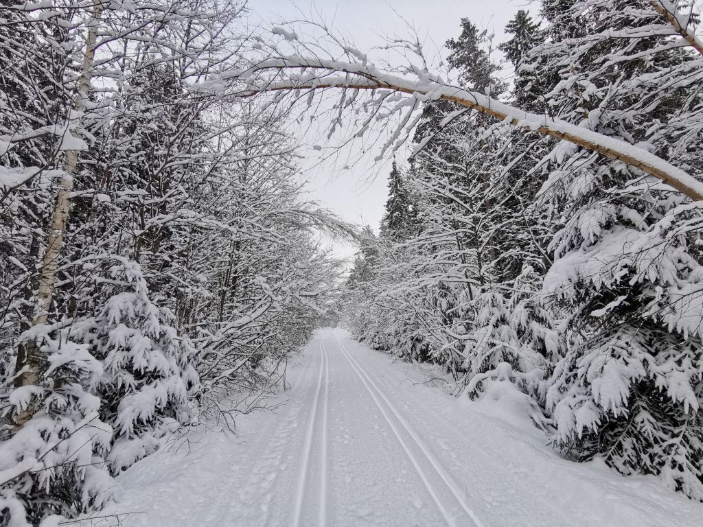 Enchanted Forest Cross Country Ski Area – Snowshoeing — Red River