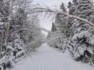 Enchanted Forest Cross Country Ski Area – Snowshoeing — Red River