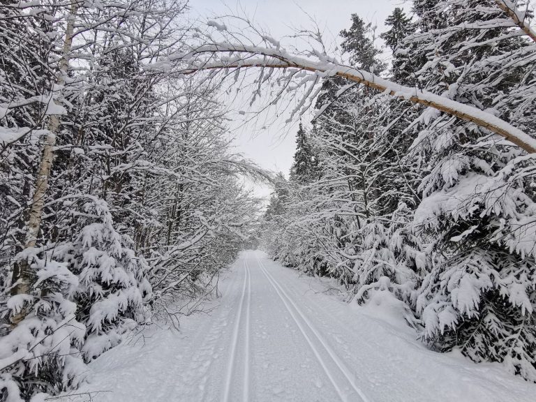 Enchanted Forest Cross Country Ski Area – Snowshoeing — Red River