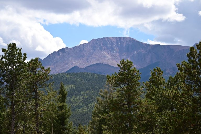 Angel of Shavano Trail — Pike National Forest near Woodland Park — Woodland Park