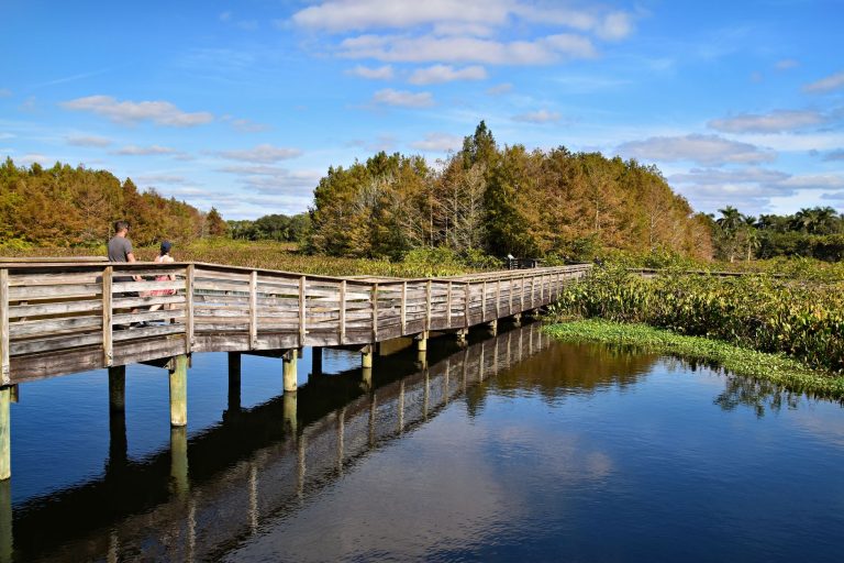 Savannas Recreation Area — Port St Lucie