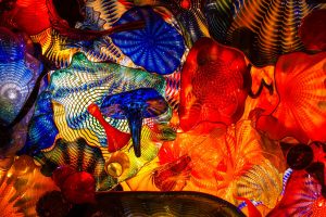 Chihuly Collection at the Morean Arts Center — Tampa Bay
