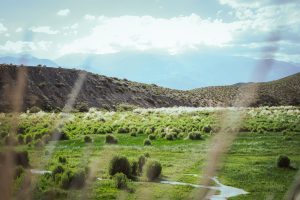 McGee Meadow Trailhead (Dimple Dell Regional Park South Access) — West Jordon