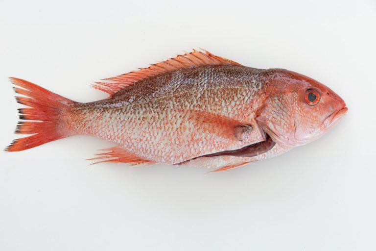 Malibu Seafood Fresh Fish Market & Patio Café — Los Angeles