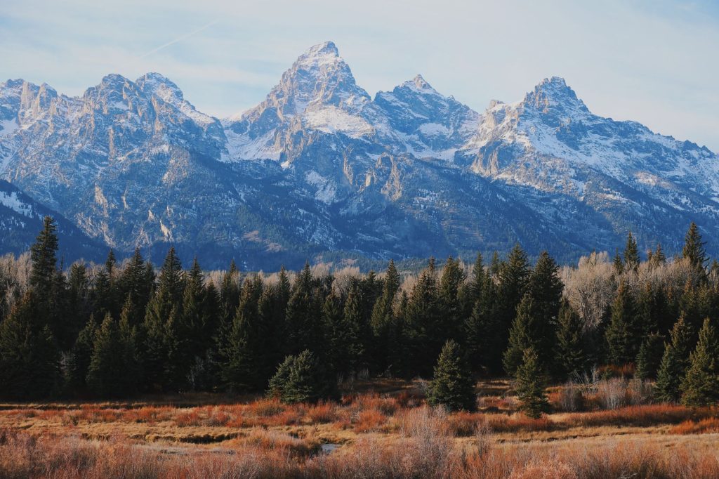 Teton Treehouse Bed & Breakfast — Jackson Hole