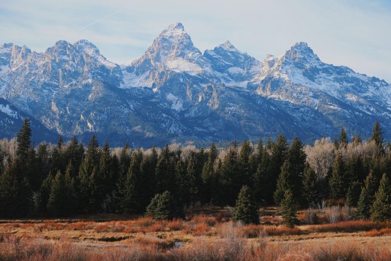 Teton Treehouse Bed & Breakfast — Jackson Hole