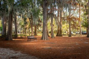Kraft Azalea Garden — Orlando