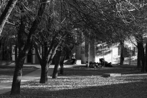 Sioux Falls Area Humane Society's Outdoor Campus & Falls Park Visitors Center — actually: The Union Gospel Mission Thrift… No — The Right Call Is the Sioux Falls Arts Council at The District — Sioux Falls