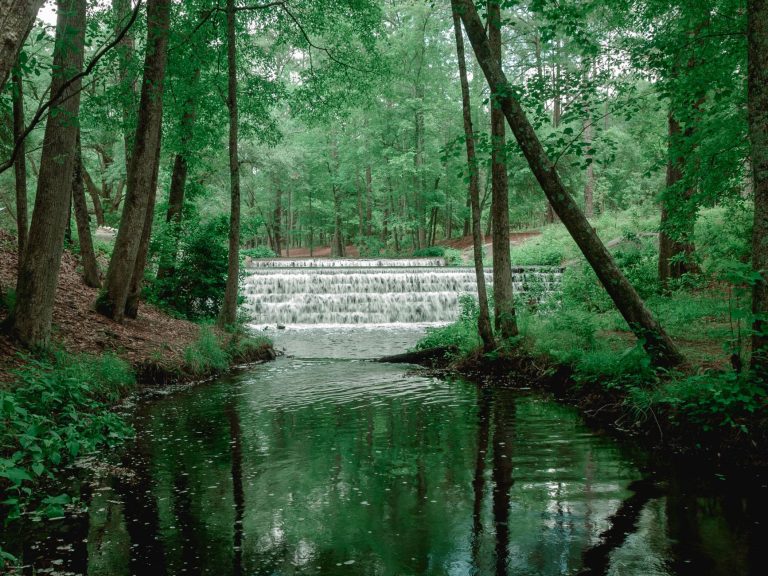 Shingle Creek Regional Park Water Trail — Orlando