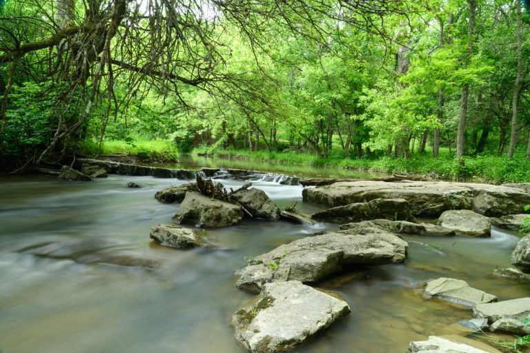Osage Creek Preserve & Natural Area — Springdale