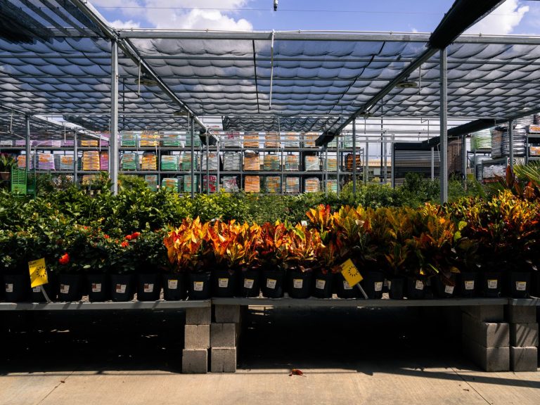 Peckerwood Garden — Houston