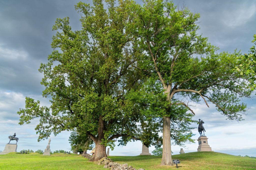 Connor Battlefield State Historic Site — Sheridan