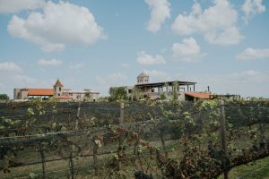 Blue Moon Winery Granbury — Granbury
