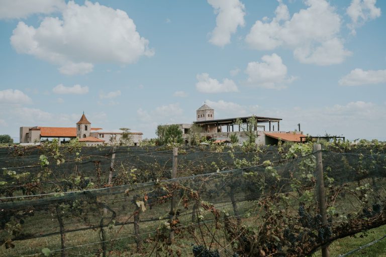 Blue Moon Winery Granbury — Granbury