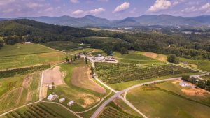 Ferm & Vine Meadery — Henderson