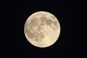 Harvest Moon Antiques — Granbury