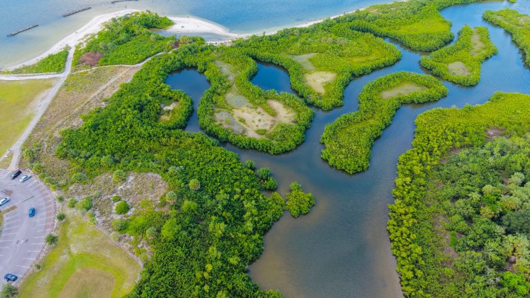 Clam Bayou Nature Park — Tampa Bay