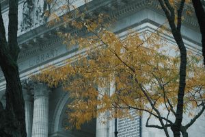 Weed-Havemeyer Branch Library — Stamford
