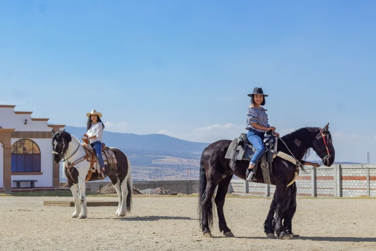 Blue Moon Ranch Horseback Riding — Las Cruces