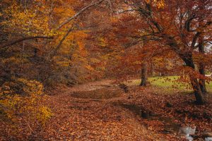 Mingo Creek Park — Broken Arrow