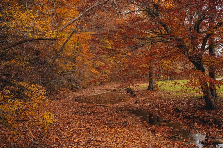 Mingo Creek Park — Broken Arrow