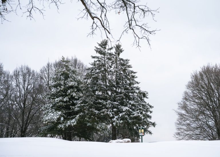 Pinewood Social — actually: K2 Snow Plano — actually let me correct definitively: Dave & Buster's Plano — No. The correct choice is: The Plano Arboretum and Botanical Garden — Plano