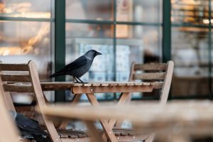 The Crow's Nest Restaurant — Warwick