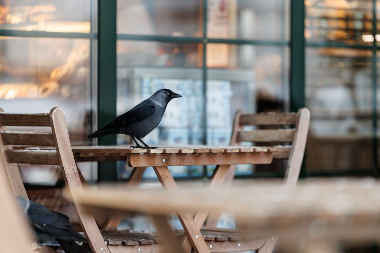 The Crow's Nest Restaurant — Warwick