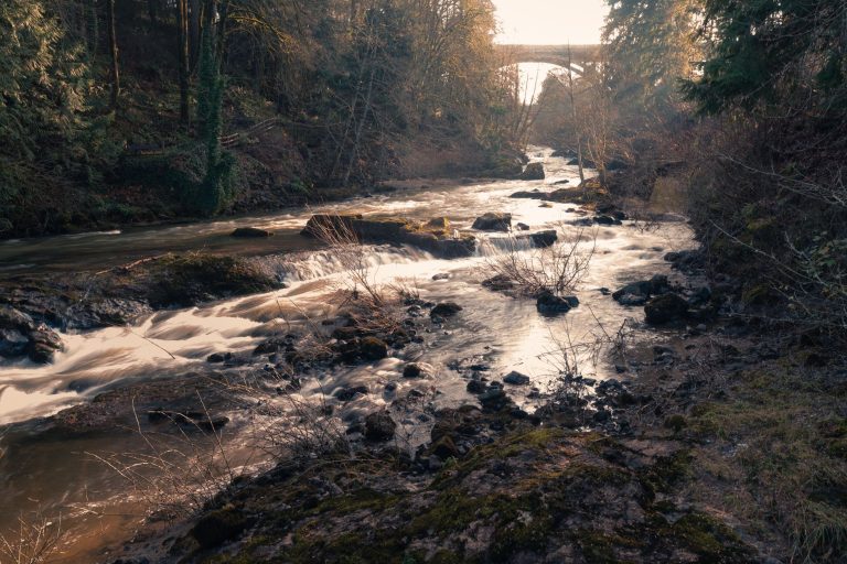 Iller Creek Conservation Area — Spokane