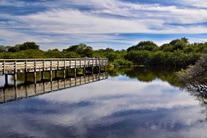 Canoe Creek Outfitters at Loxahatchee National Wildlife Refuge — West Palm Beach