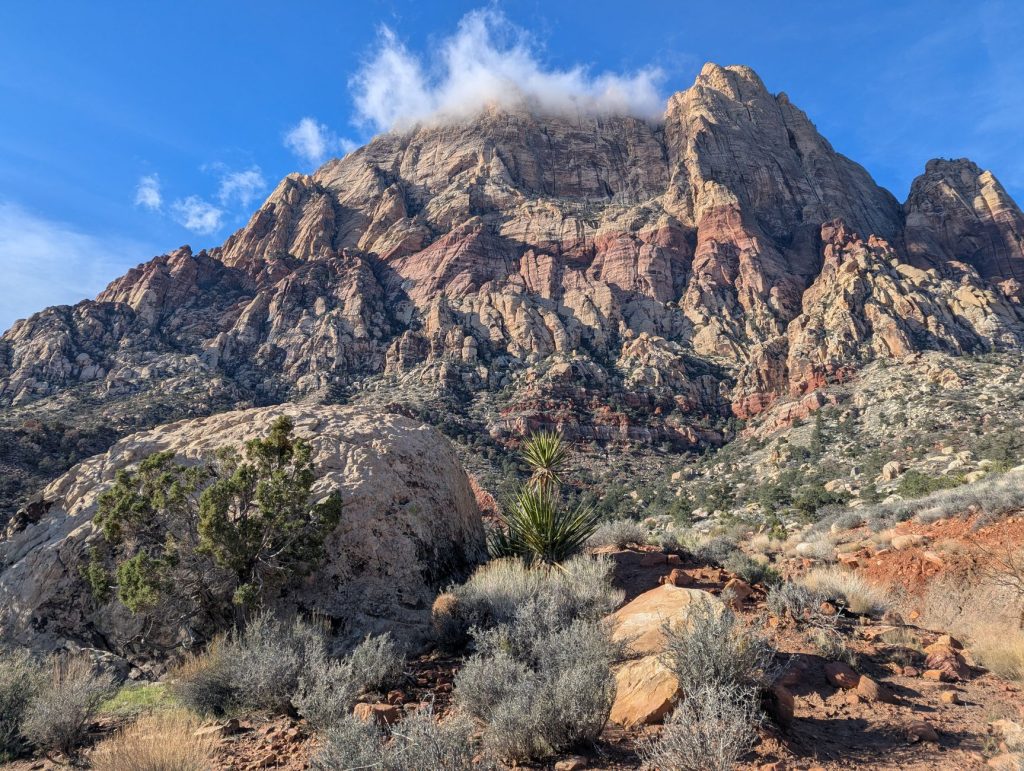 Pine Tree Trail – Organ Mountains-Desert Peaks National Monument — Las Cruces