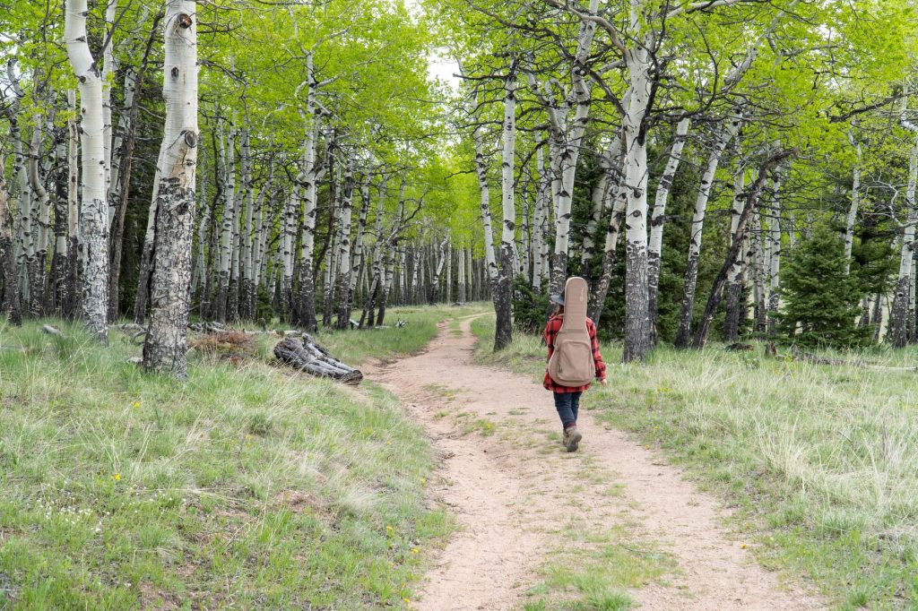 Wrangler's Run Trail at Mueller State Park — Woodland Park