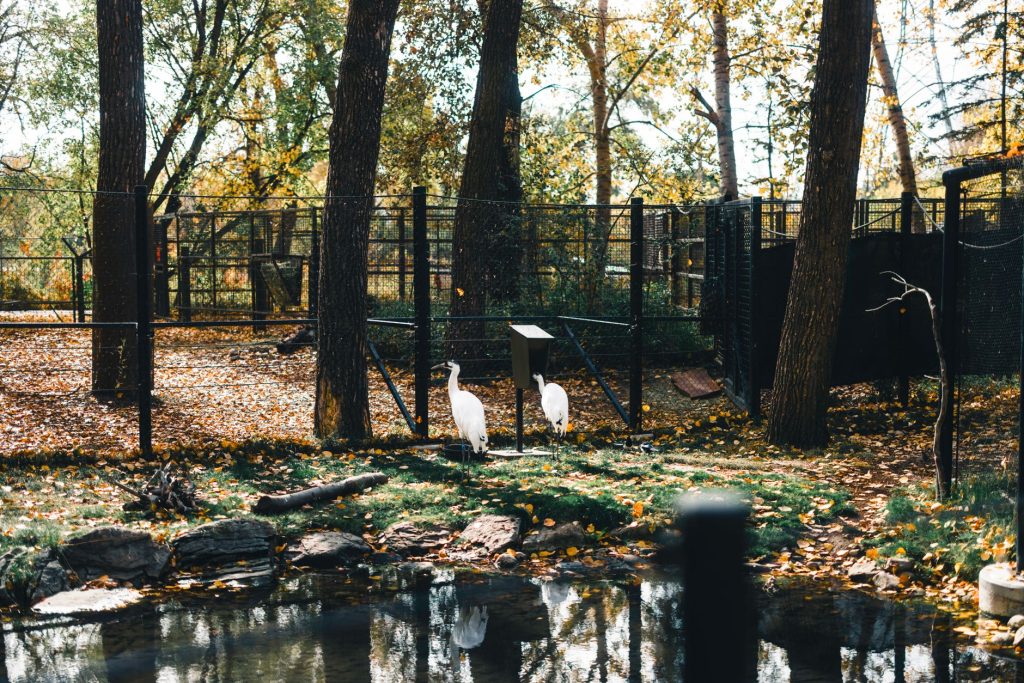 Goosepond Sanctuary — Fargo