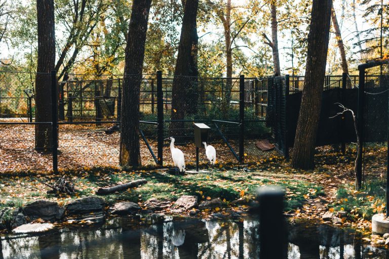 Goosepond Sanctuary — Fargo