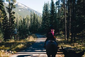 Falcon Trail Ride at Horsethief Park Trailhead — Woodland Park Guided Horseback Experience — Woodland Park
