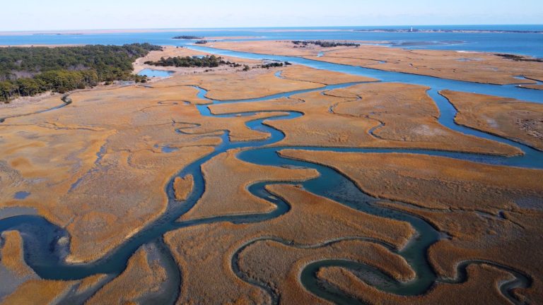 Eastern Shore Provisions — Chesapeake